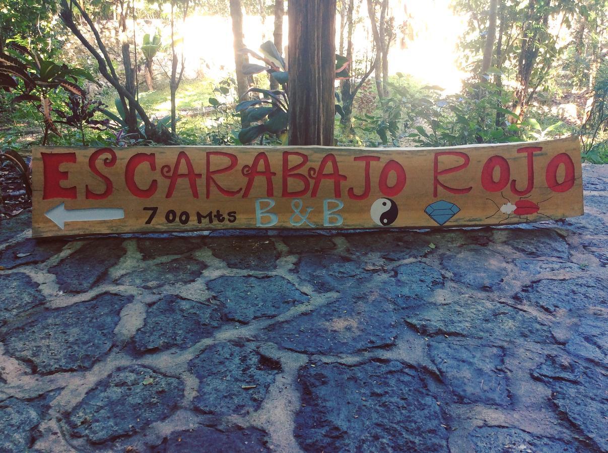Escarabajo Rojo Bed and Breakfast Tulum Exteriör bild