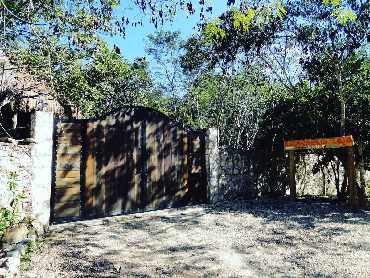 Escarabajo Rojo Bed and Breakfast Tulum Exteriör bild